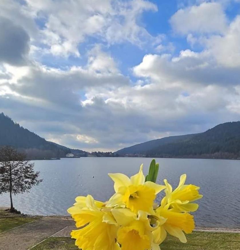 Les Yeux Du Lac Gerardmer Bagian luar foto